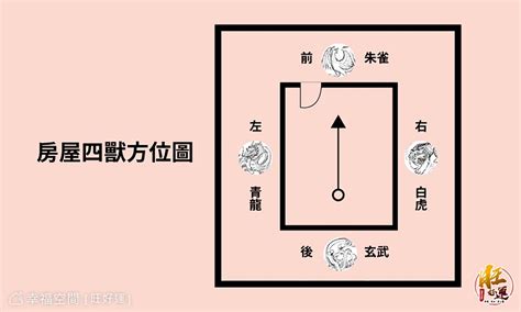 大門虎邊碰壁化解|【風水特輯】大門龍邊虎邊影響家運！開口設在「這邊。